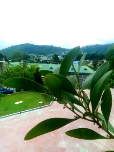 Nuwara Eliya Mountain View Home Stay