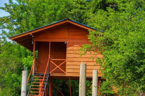 Hotel Sigiri Royal Point Tree House