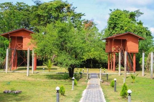 Hotel Sigiri Royal Point Tree House