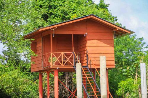 Hotel Sigiri Royal Point Tree House