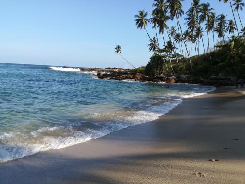 Lodge Star Beach Hotel