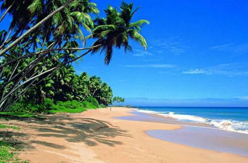 Villa Mihilaka Holiday Homes