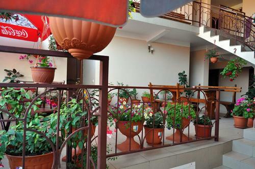 Hostal Guest House Liana