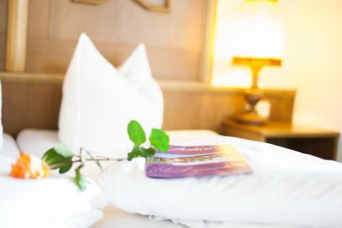 Hotel Auderer