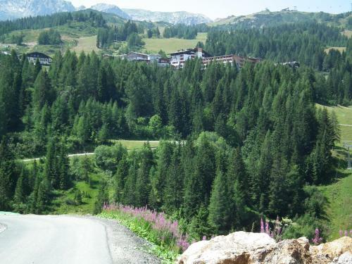 Nassfeld Apartments - "traditionell Anders"