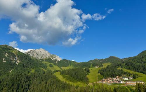Alm Resort Nassfeld