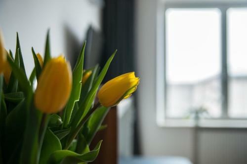 Smolna Apartments By Your Freedom