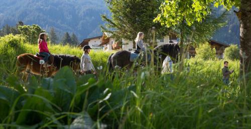 Hotel Krimmlerf�lle