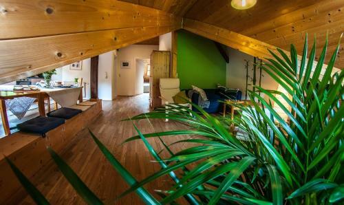 Apartamentos Gabis Lodge