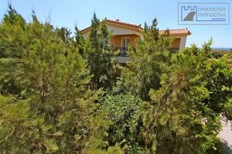 Apartamento Monachus Monachus