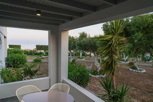Apartamento Paradisos