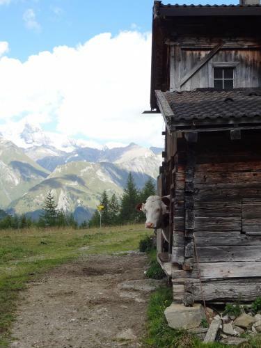 Ferienhaus Meins