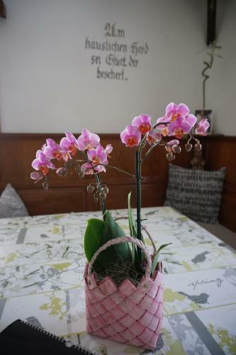 Ferienhaus Meins