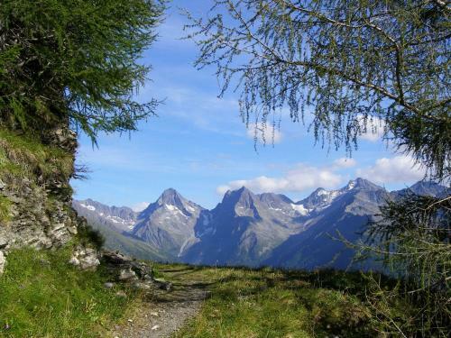 Apartamento Ferienbauernhof - Berger