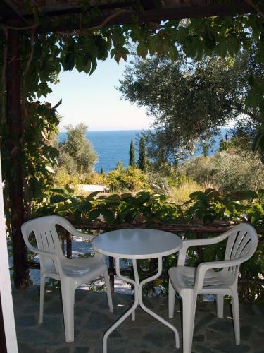 Apartamento Gregory Studios