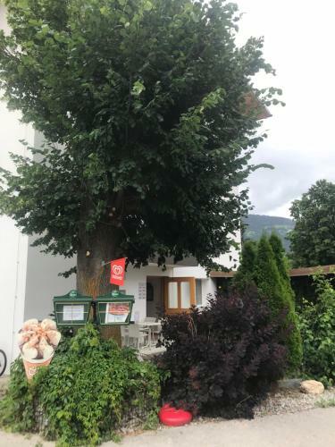 Albergue Falken Horst Lienz