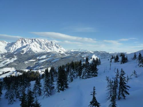 Apartamento Panorama Appartement Maria Alm
