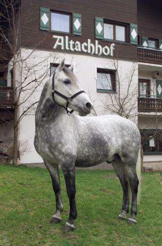 Hotel Ferienanlage Altachhof