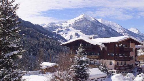 Hotel Ferienanlage Altachhof