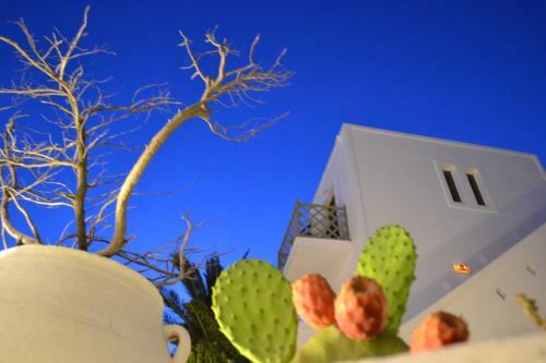 Artemis Hotel