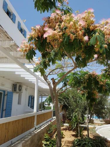 Apartamento Kastro Antiparos