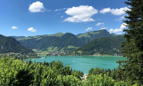 Apartamento Ferienpark Terrassencamping S�d-see