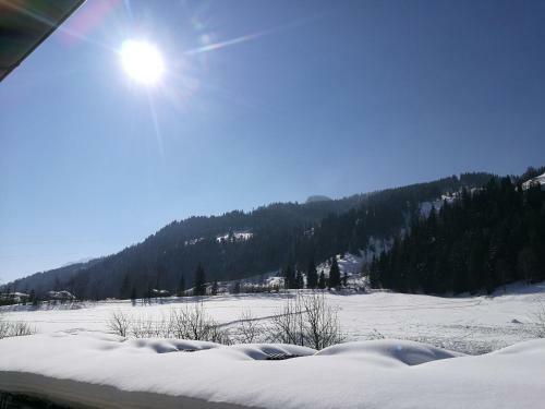 Apartamento Ferienwohungen Wedl