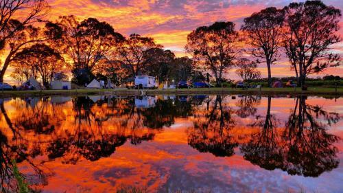 Posada Coonawarra Bush Holiday Park