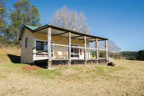 Big Yango House