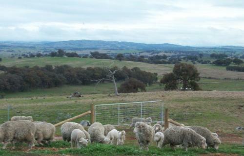 Heathcote Views Bed & Breakfast