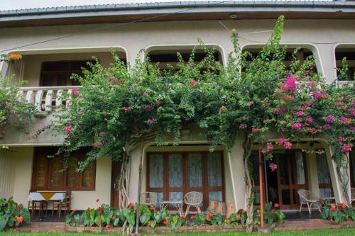 Hostal Royal Tourist Lodge