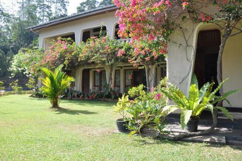Hostal Royal Tourist Lodge