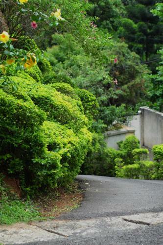 Hostal Royal Tourist Lodge