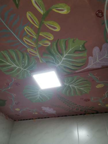 Mutton Button Kandy Holiday