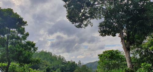 Mutton Button Kandy Holiday