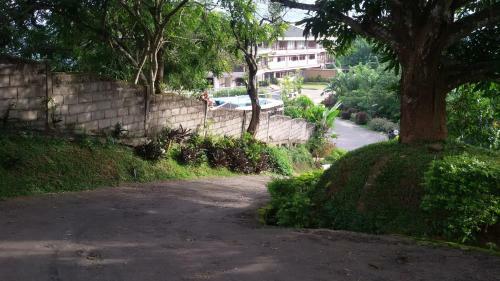 Mount View Lodge
