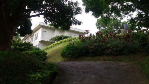 Mount View Lodge
