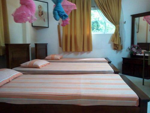Hostal Mccarthy Guesthouse