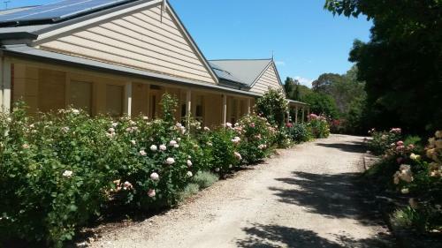 Bed & Breakfast Horrocks Road Lodge