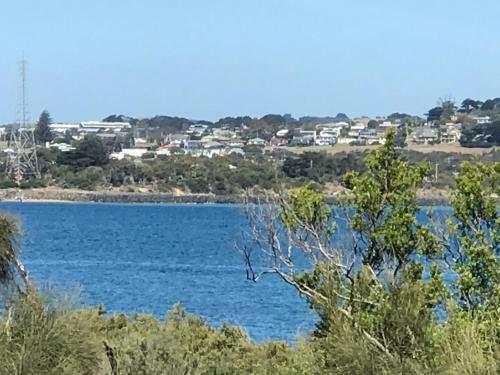 Bunya By The Sea