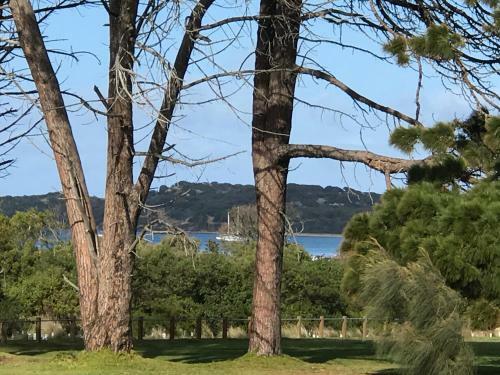 Bunya By The Sea
