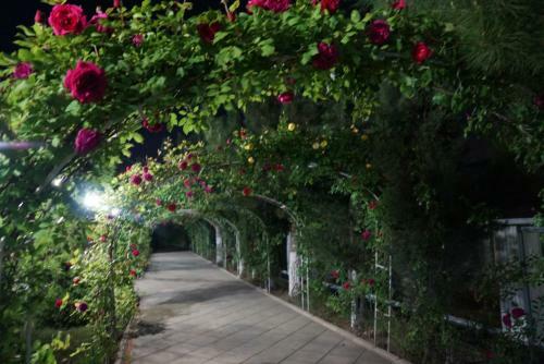 River Side Hotel