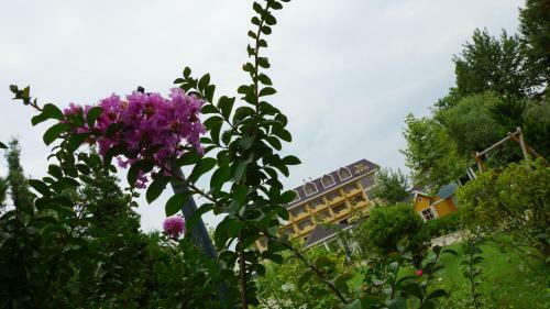 River Side Hotel
