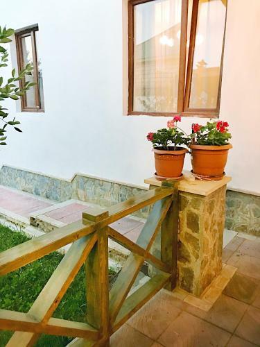 Gabala Sweet Lounge