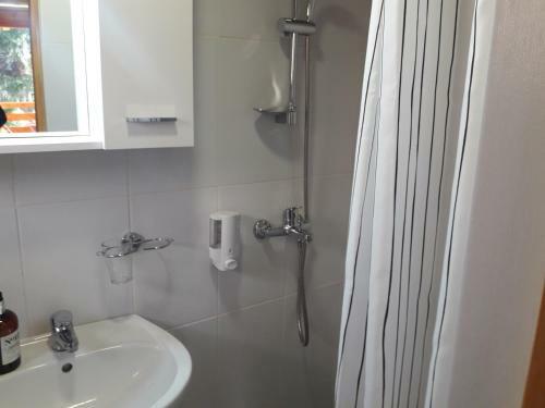Obiteljski Apartman Borovi