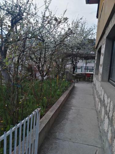 Apartment Panorama