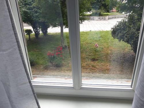 Apartamento The Green Place