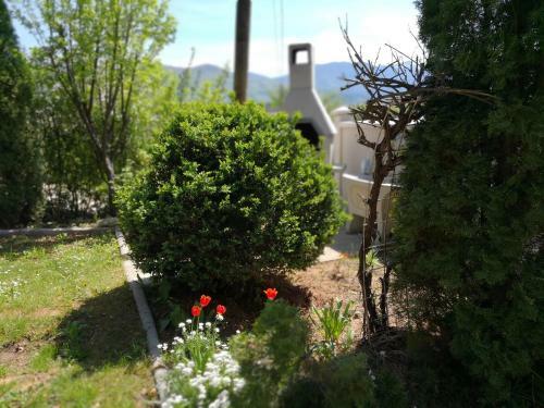 Holiday Home Zelena Oaza