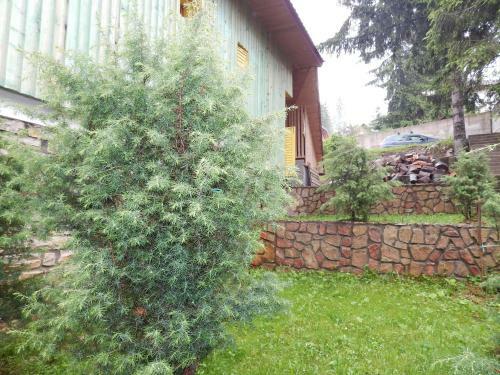 Apartmani Smreka Vla?i?