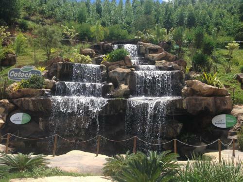 Hotel Cotoches Abre Campo